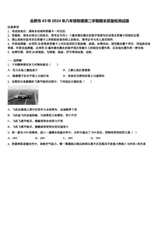 合肥市45中2024年八年级物理第二学期期末质量检测试题含解析.doc
