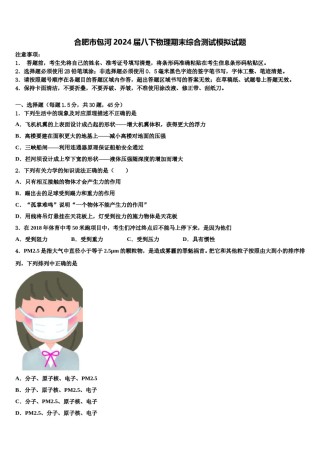 合肥市包河2024届八下物理期末综合测试模拟试题含解析.doc