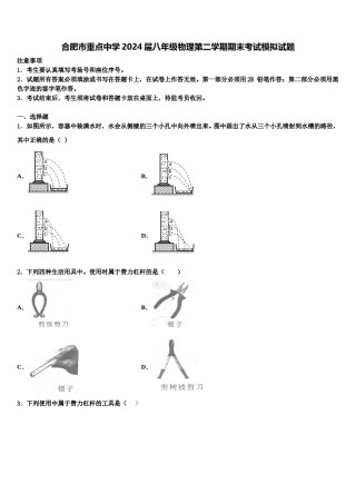 合肥市重点中学2024届八年级物理第二学期期末考试模拟试题含解析.doc