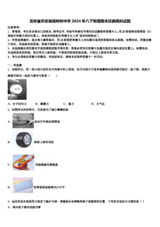 吉林省农安县杨树林中学2024年八下物理期末经典模拟试题含解析.doc