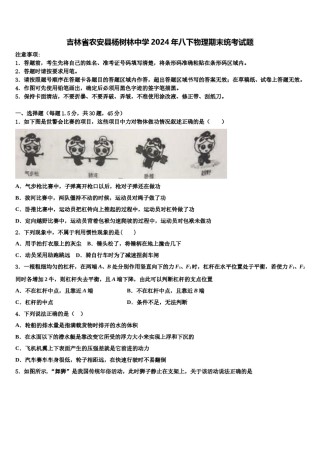 吉林省农安县杨树林中学2024年八下物理期末统考试题含解析.doc