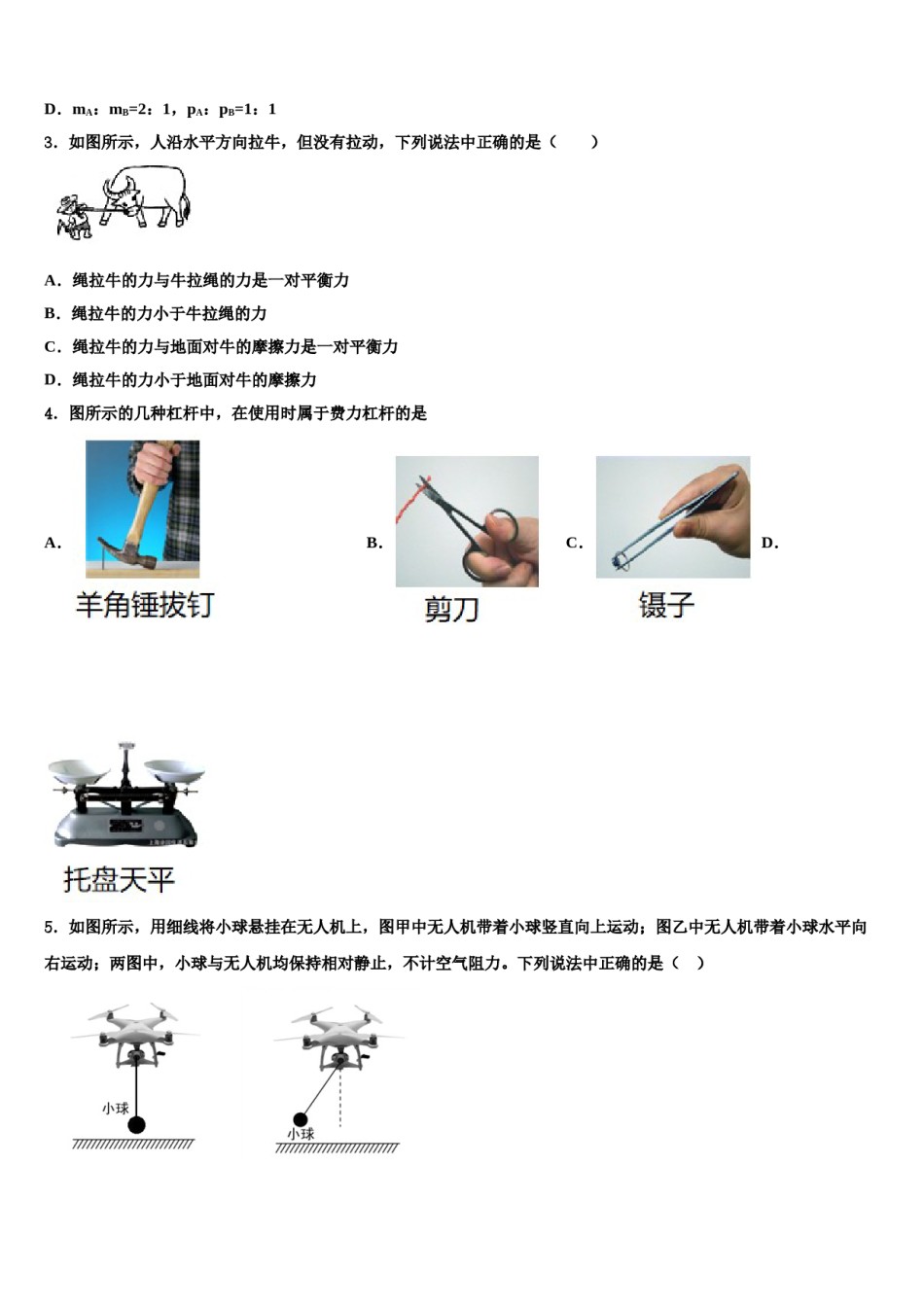 吉林省吉林市永吉县2024届八下物理期末复习检测试题含解析.doc_第2页