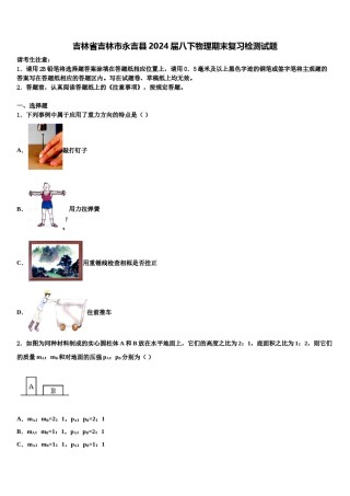 吉林省吉林市永吉县2024届八下物理期末复习检测试题含解析.doc