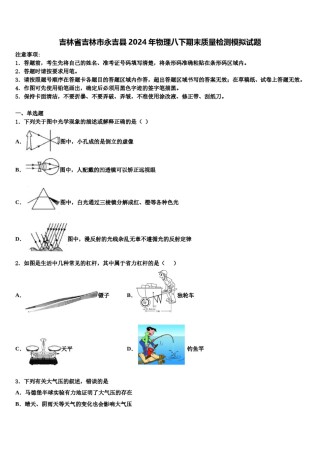 吉林省吉林市永吉县2024年物理八下期末质量检测模拟试题含解析.doc