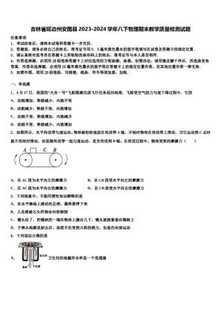 吉林省延边州安图县2023-2024学年八下物理期末教学质量检测试题含解析.doc