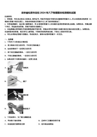 吉林省松原市名校2024年八下物理期末检测模拟试题含解析.doc