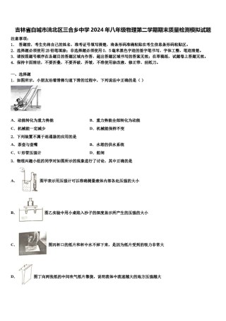 吉林省白城市洮北区三合乡中学2024年八年级物理第二学期期末质量检测模拟试题含解析.doc