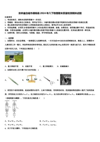 吉林省白城市通榆县2024年八下物理期末质量检测模拟试题含解析.doc