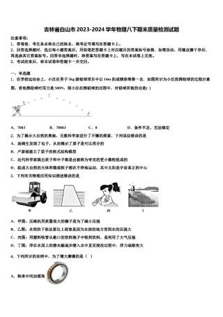 吉林省白山市2023-2024学年物理八下期末质量检测试题含解析.doc