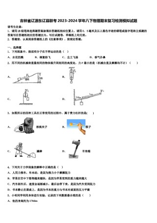 吉林省辽源东辽县联考2023-2024学年八下物理期末复习检测模拟试题含解析.doc