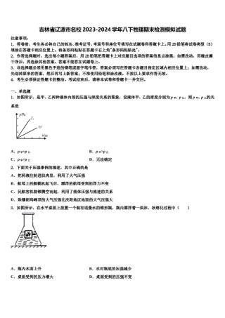 吉林省辽源市名校2023-2024学年八下物理期末检测模拟试题含解析.doc