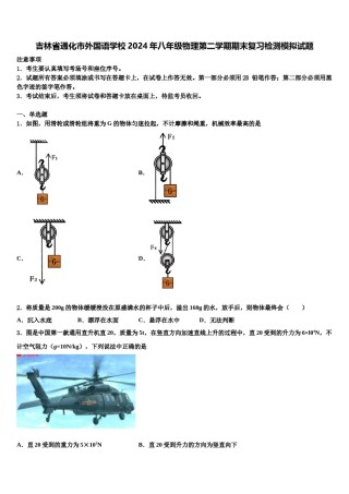 吉林省通化市外国语学校2024年八年级物理第二学期期末复习检测模拟试题含解析.doc