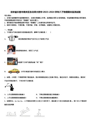 吉林省长春市南关区东北师大附中2023-2024学年八下物理期末监测试题含解析.doc