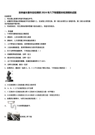吉林省长春市名校调研2024年八下物理期末检测模拟试题含解析.doc
