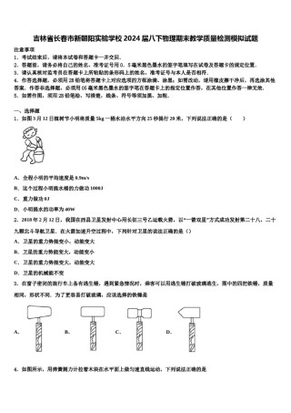 吉林省长春市新朝阳实验学校2024届八下物理期末教学质量检测模拟试题含解析.doc