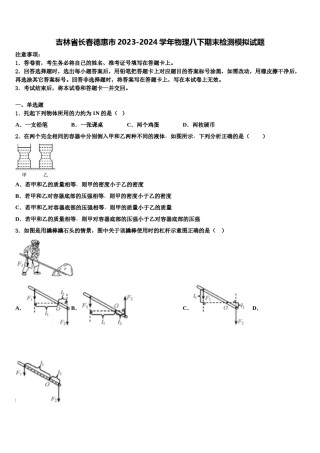 吉林省长春德惠市2023-2024学年物理八下期末检测模拟试题含解析.doc