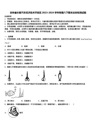 吉林省长春汽车经济技术开发区2023-2024学年物理八下期末达标检测试题含解析.doc