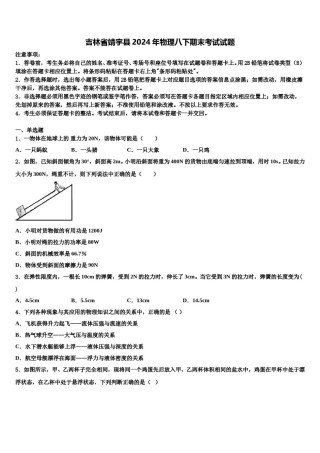 吉林省靖宇县2024年物理八下期末考试试题含解析.doc