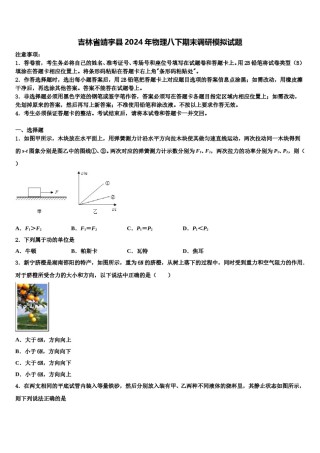 吉林省靖宇县2024年物理八下期末调研模拟试题含解析.doc