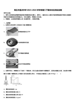 商丘市重点中学2023-2024学年物理八下期末综合测试试题含解析.doc