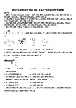 四川中江县春季联考2023-2024学年八下物理期末统考模拟试题含解析.doc