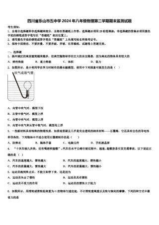 四川省乐山市五中学2024年八年级物理第二学期期末监测试题含解析.doc