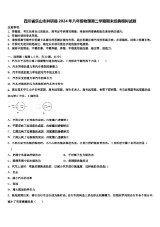 四川省乐山市井研县2024年八年级物理第二学期期末经典模拟试题含解析.doc
