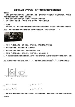 四川省乐山第七中学2024届八下物理期末教学质量检测试题含解析.doc