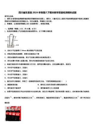 四川省乐至县2024年物理八下期末教学质量检测模拟试题含解析.doc