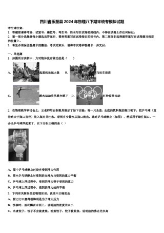 四川省乐至县2024年物理八下期末统考模拟试题含解析.doc