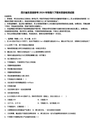 四川省乐至县联考2024年物理八下期末质量检测试题含解析.doc