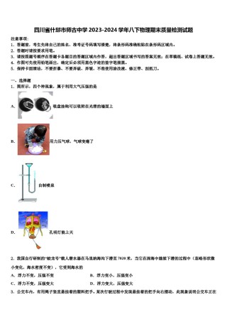 四川省什邡市师古中学2023-2024学年八下物理期末质量检测试题含解析.doc