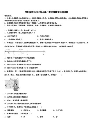 四川省凉山州2024年八下物理期末检测试题含解析.doc