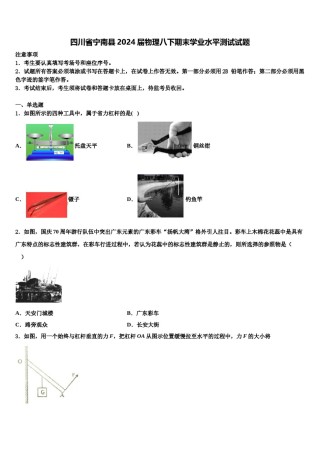 四川省宁南县2024届物理八下期末学业水平测试试题含解析.doc