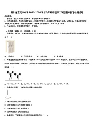 四川省宜宾市中学2023-2024学年八年级物理第二学期期末复习检测试题含解析.doc