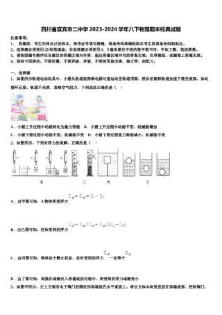 四川省宜宾市二中学2023-2024学年八下物理期末经典试题含解析.doc