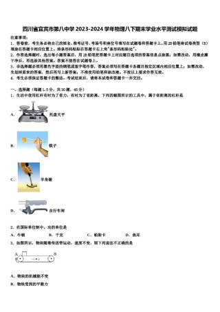四川省宜宾市第八中学2023-2024学年物理八下期末学业水平测试模拟试题含解析.doc