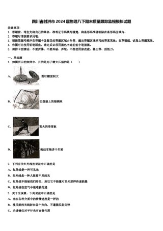 四川省射洪市2024届物理八下期末质量跟踪监视模拟试题含解析.doc