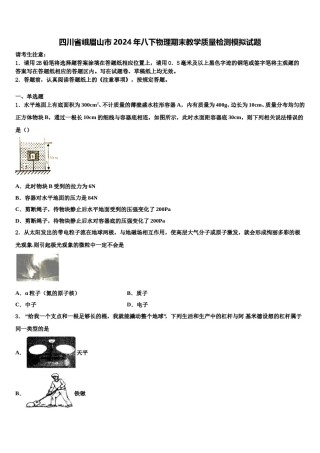 四川省峨眉山市2024年八下物理期末教学质量检测模拟试题含解析.doc