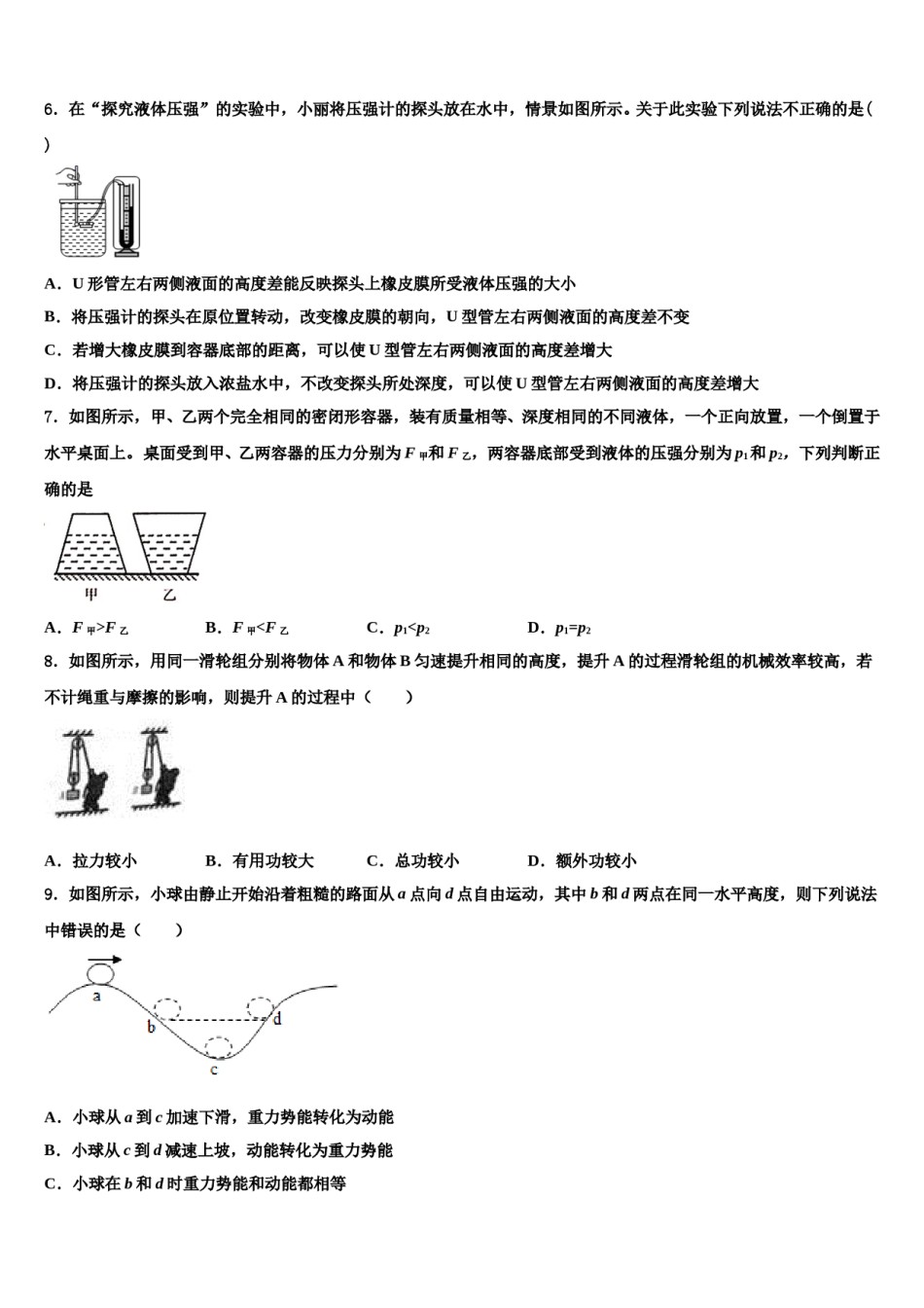 四川省巴中学市巴中学2024届八下物理期末考试试题含解析.doc_第2页