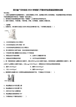 四川省广元市名校2024年物理八下期末学业质量监测模拟试题含解析.doc