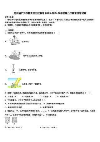 四川省广元市朝天区五校联考2023-2024学年物理八下期末统考试题含解析.doc
