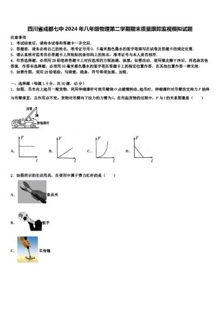 四川省成都七中2024年八年级物理第二学期期末质量跟踪监视模拟试题含解析.doc