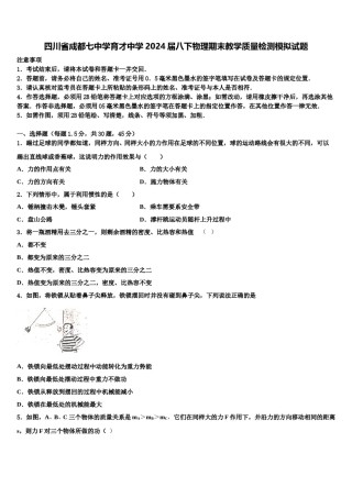四川省成都七中学育才中学2024届八下物理期末教学质量检测模拟试题含解析.doc
