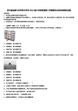 四川省成都七中学育才中学2024届八年级物理第二学期期末达标检测模拟试题含解析.doc