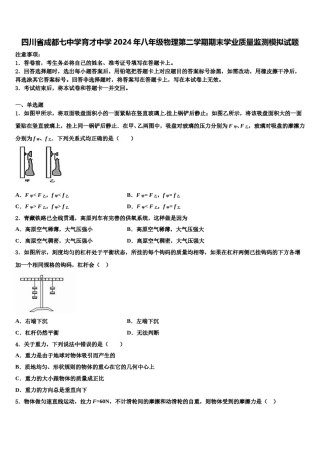 四川省成都七中学育才中学2024年八年级物理第二学期期末学业质量监测模拟试题含解析.doc