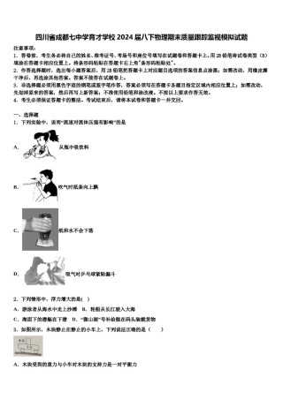四川省成都七中学育才学校2024届八下物理期末质量跟踪监视模拟试题含解析.doc