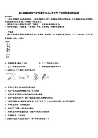 四川省成都七中学育才学校2024年八下物理期末调研试题含解析.doc