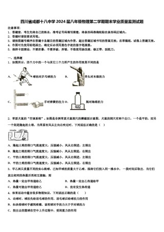 四川省成都十八中学2024届八年级物理第二学期期末学业质量监测试题含解析.doc