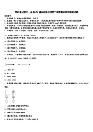 四川省成都市七中2024届八年级物理第二学期期末检测模拟试题含解析.doc